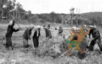 ប្រជាជនកំពង់ធើ្វការងារក្នុងរបបខ្មែរក្រហម។ រូបថតបណ្ណសារមជ្ឈមណ្ឌលឯកសារកម្ពុជា។