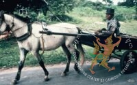 ប្រភពរូបថត៖ ហ្គូណា ប៊ឺកស្ត្រម (ខែសីហា ឆ្នាំ១៩៧៨)/បណ្ណសារមជ្ឈមណ្ឌលឯកសារកម្ពុជា