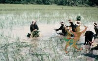 ប្រភពរូបថត៖ ហ្គូណា ប៊ឺកស្ត្រម (ខែសីហា ឆ្នាំ១៩៧៨)/បណ្ណសារមជ្ឈមណ្ឌលឯកសារកម្ពុជា